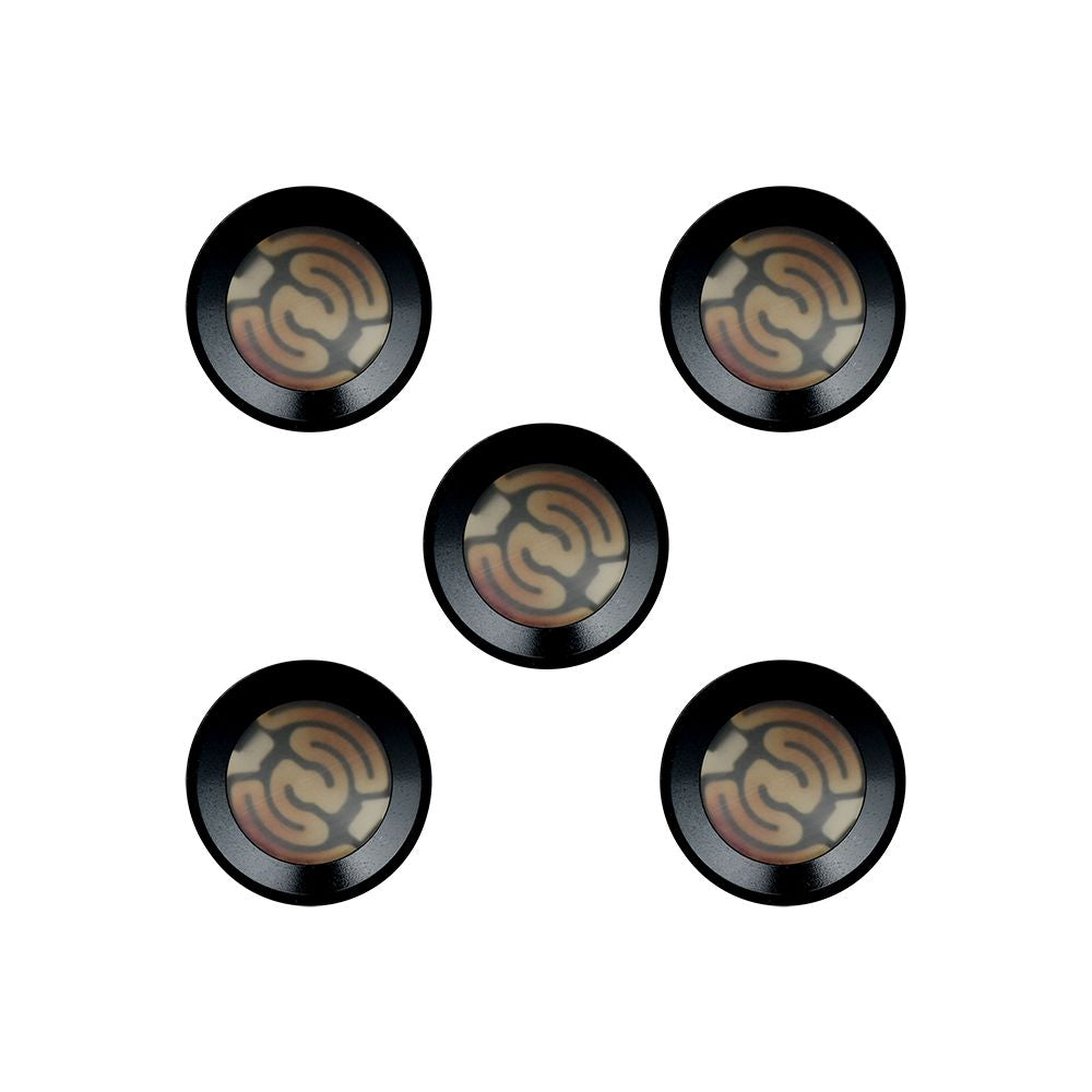 Pulsar APX eRig Atomizer | 5 Piece