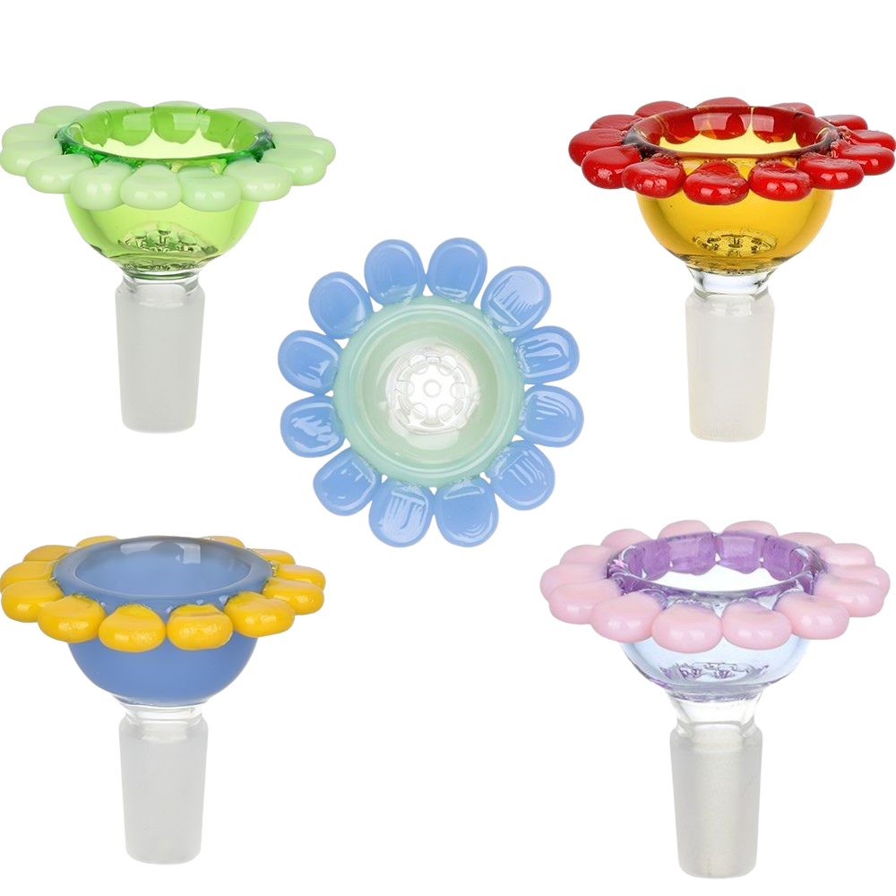 Spring Flower Herb Slide | Group