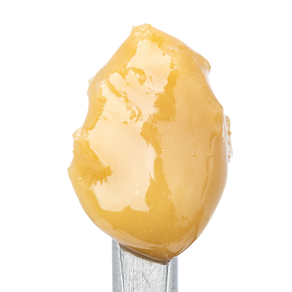 WNC THCA Cold Cure Live Rosin | Blueberry Muffin | Close View