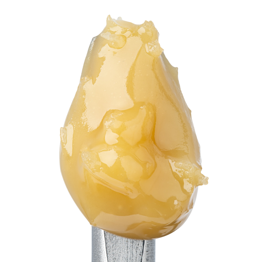WNC THCA Cold Cure Live Rosin | Granddaddy Purple | Close View