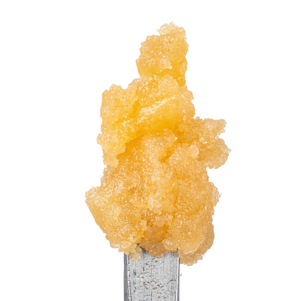 WNC THCA Sugar | Orangutan | Close View