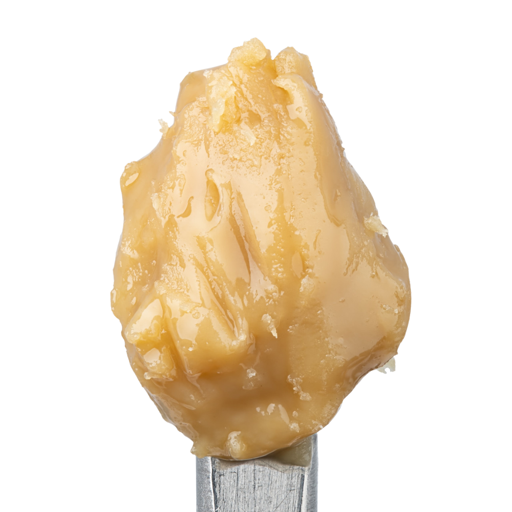 WNC THCA Cold Cure Live Rosin | Grape Cream Cake | Close Up View