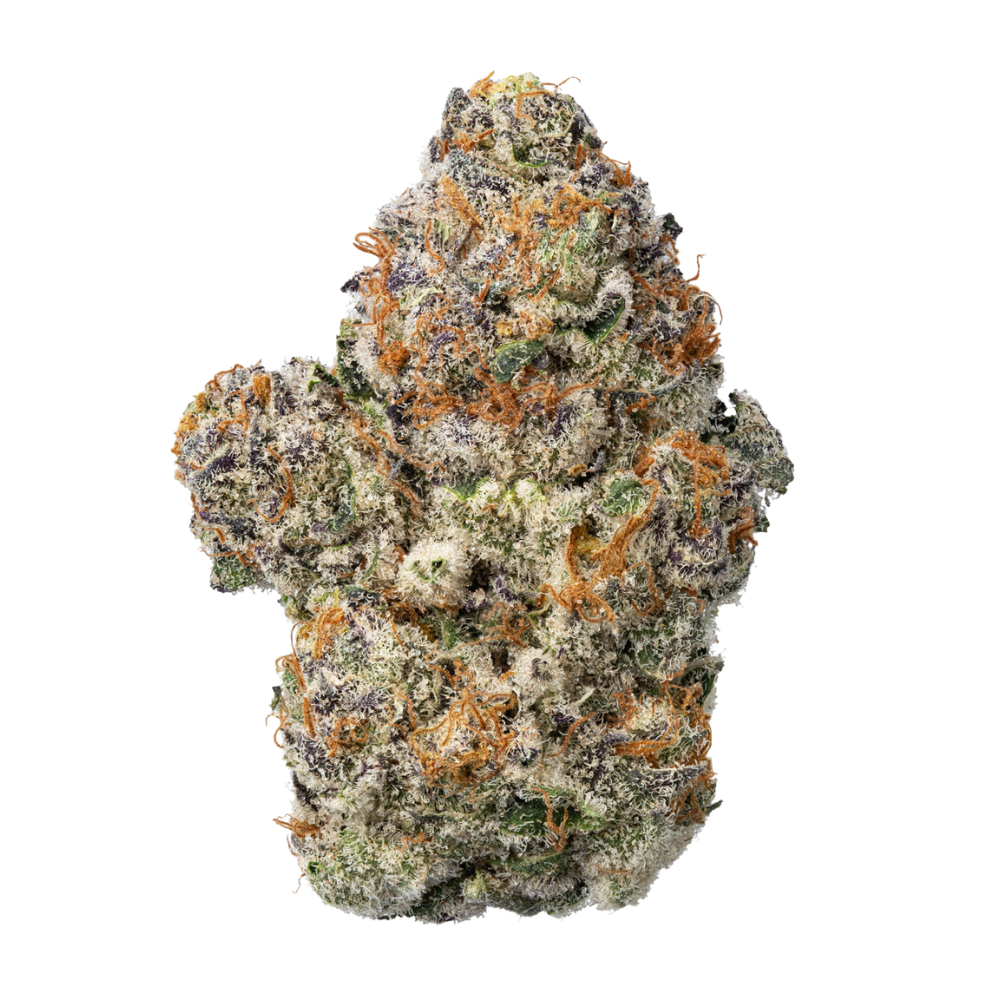 WNC THCA Indoor Hydro Flower | Blue Sunset Sherbet | Bud Close View