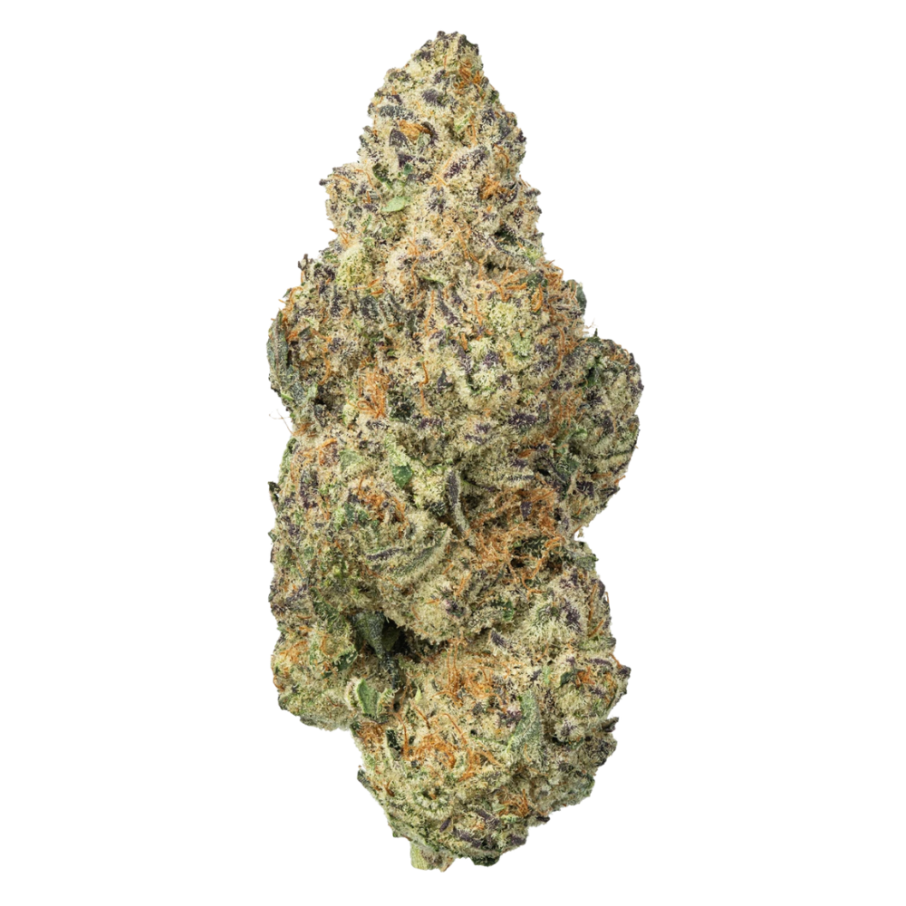 WNC THCA Indoor Living Soil Flower | Burnout | Close View of Bud