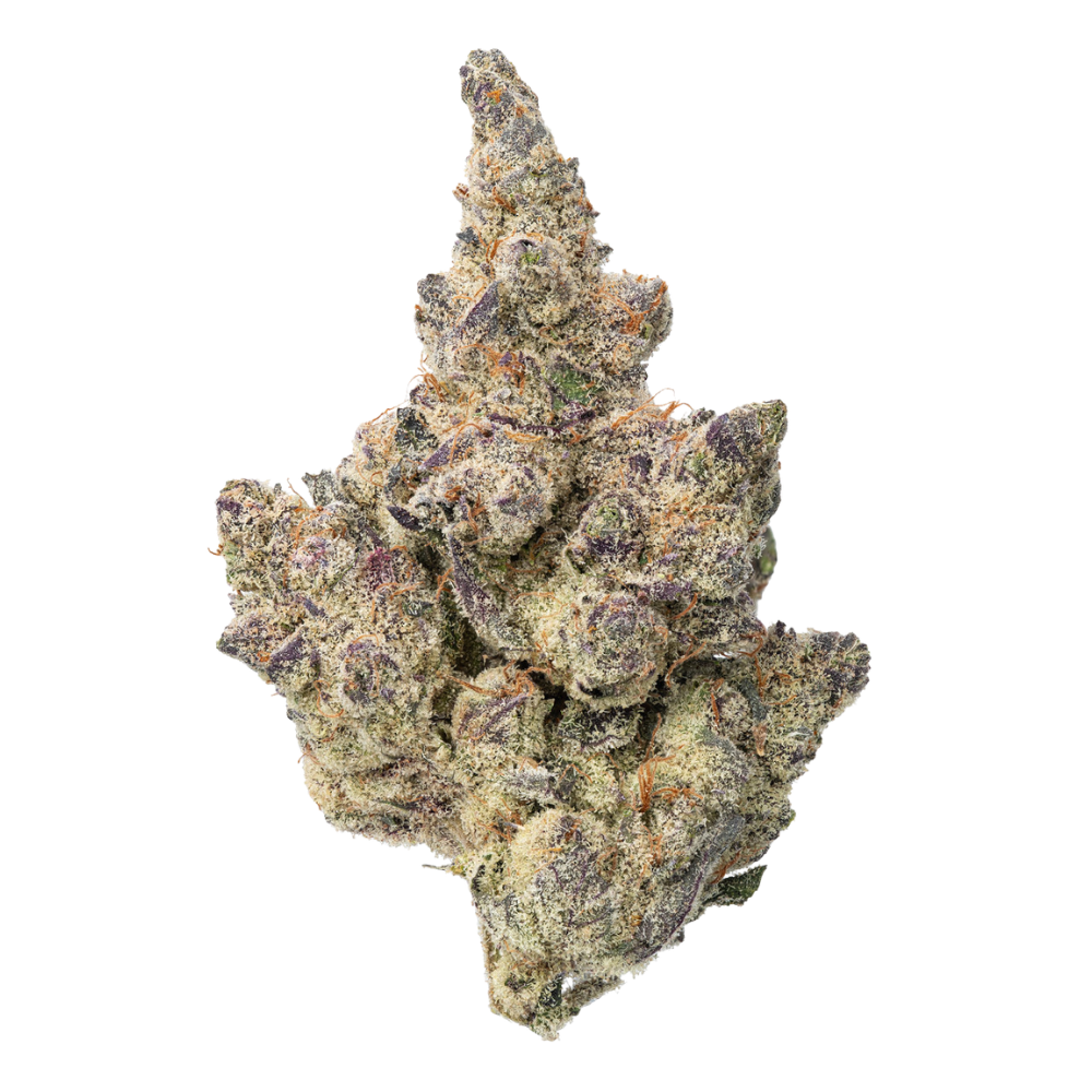 WNC THCA Indoor Living Soil Flower | Cinderella 99 | Close View of Bud
