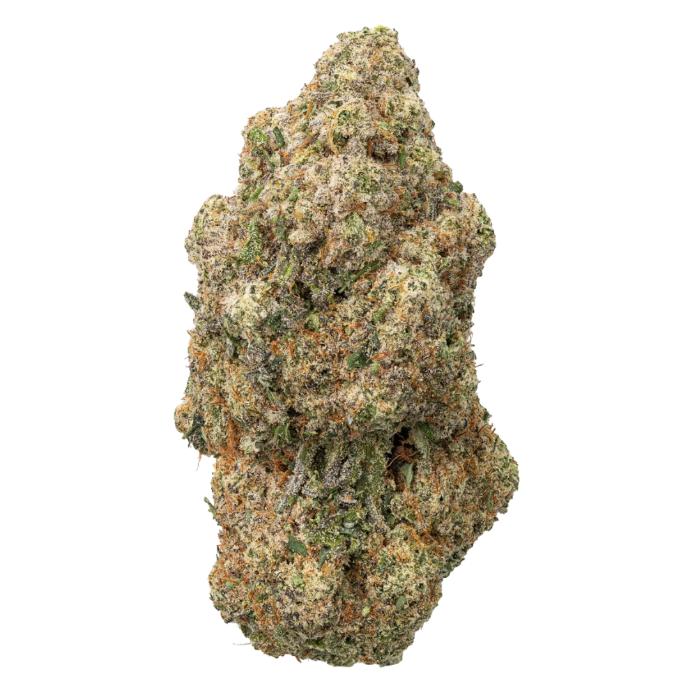 WNC THCA Indoor Living Soil Flower | Maui Wowie | Close View of Bud