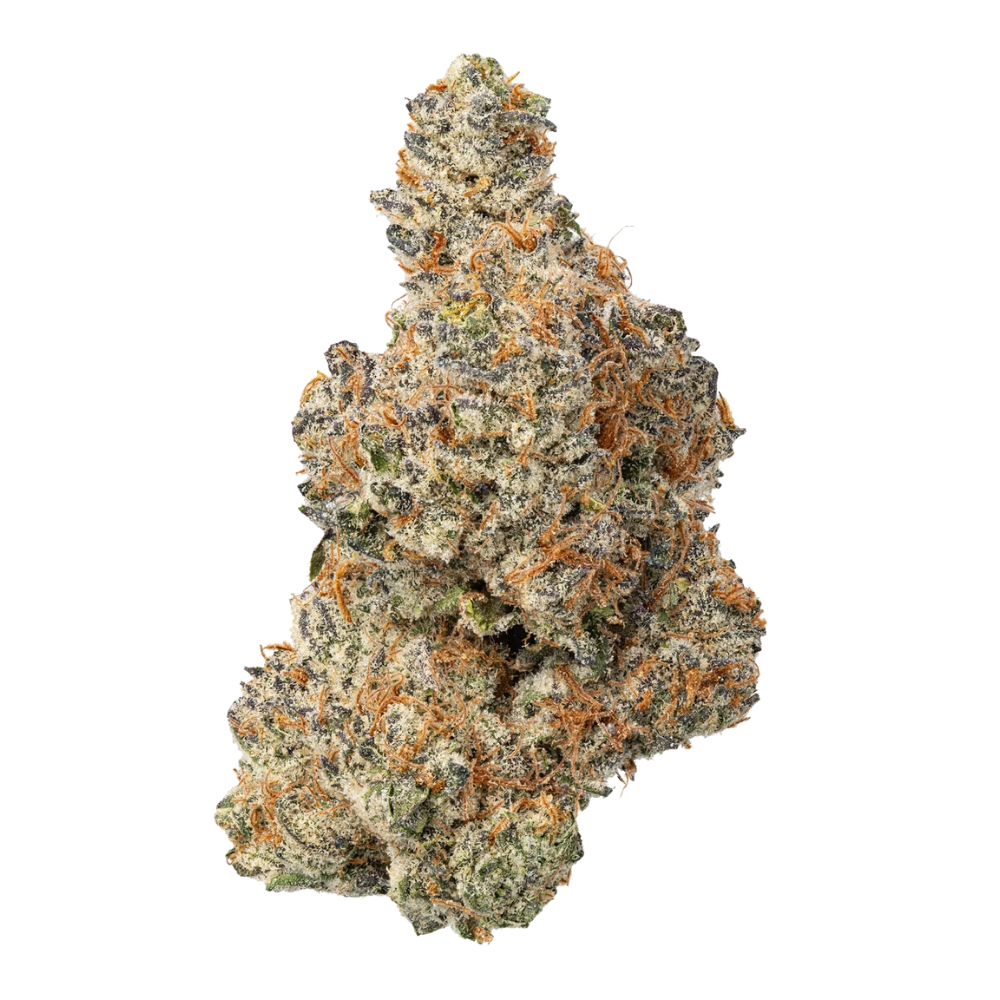 WNC THCA Indoor Living Soil Flower | Sherbz | Close View of Bud