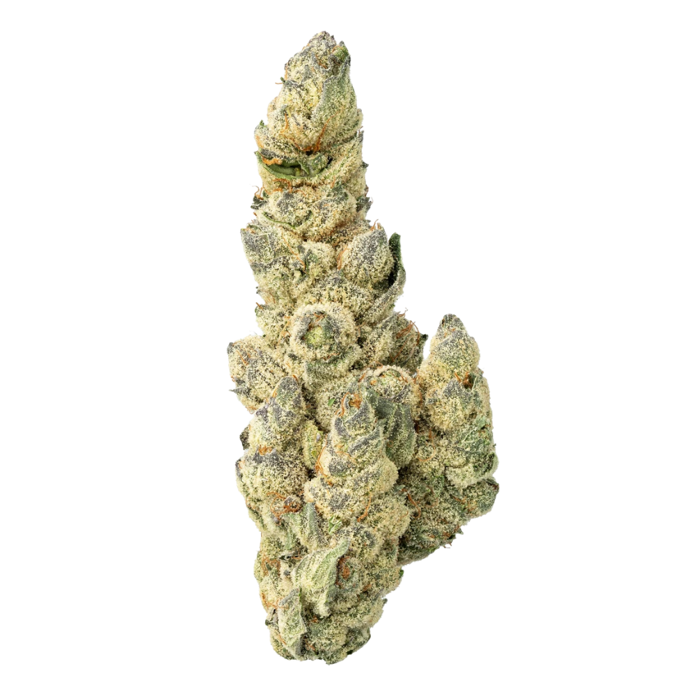 WNC THCA Indoor Living Soil Flower | Sour Diesel | Close View of Bud