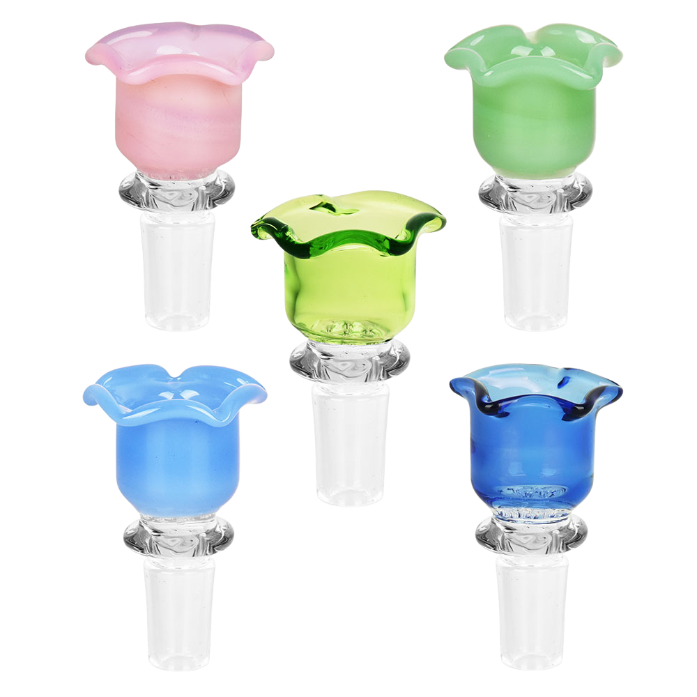 Blissful Blossom Herb Slide | Group