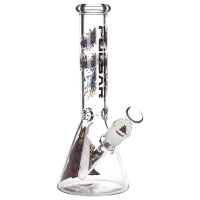 Pulsar DMT Princess Beaker Bong | Front View