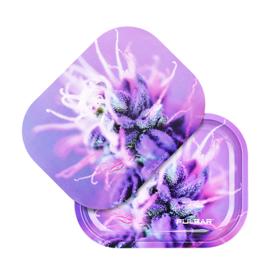 Pulsar Mini Metal Rolling Tray & Lid | Flowering Herb