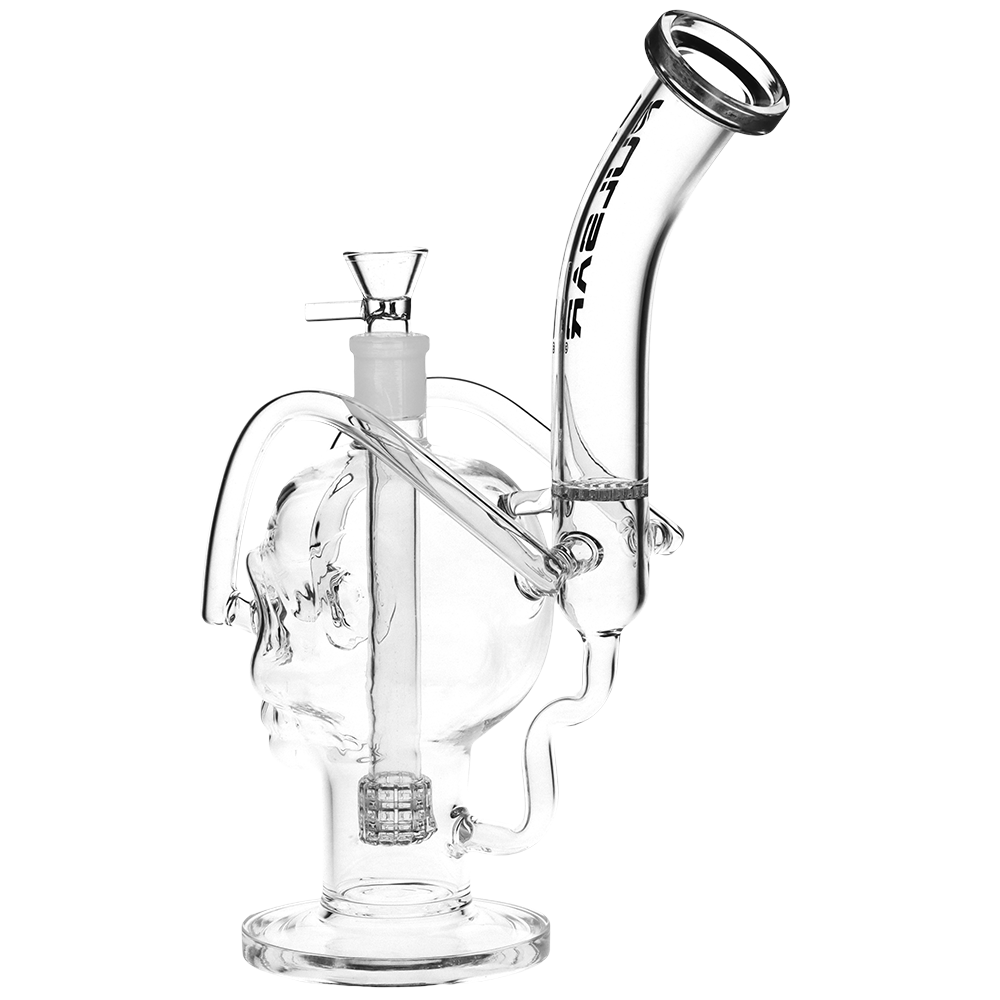 Pulsar Skull Fury Recycler Bong | Back View
