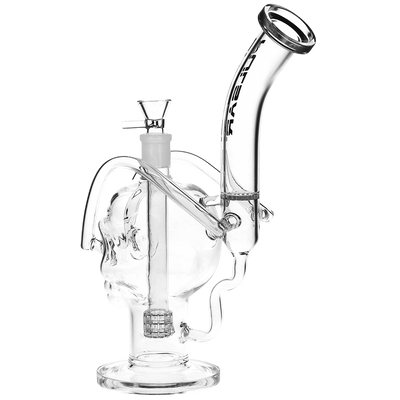 Pulsar Skull Fury Recycler Bong | Back View