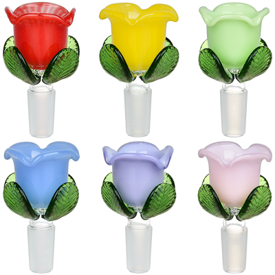 Rose Bud Herb Slide | Group