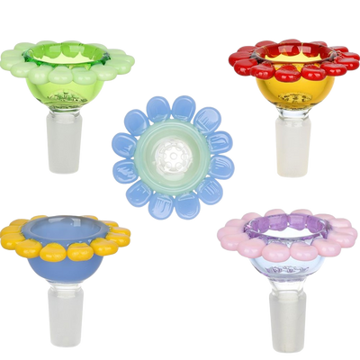 Spring Flower Herb Slide | Group