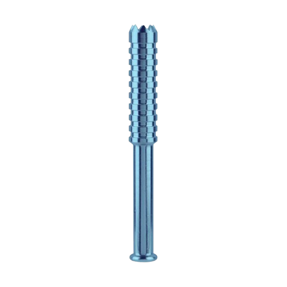 The Digger Large Taster Bat | Blue