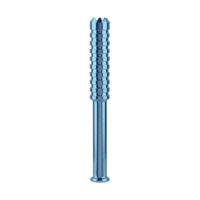 The Digger Large Taster Bat | Blue