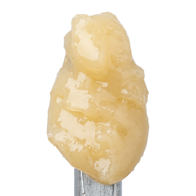 WNC CBD THCA Badder | Granddaddy Purple | Close Up View