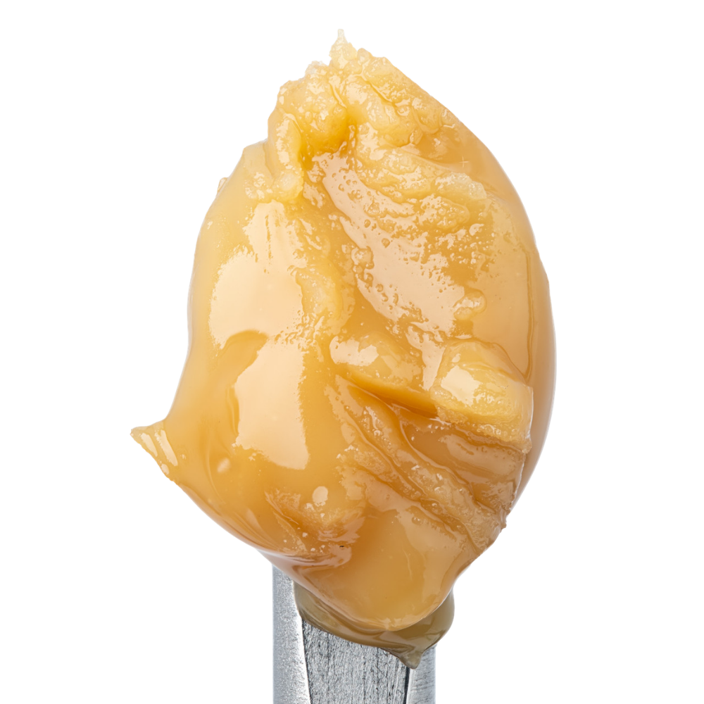 WNC THCA Cold Cure Live Rosin | Banana Cream Pie | Close View
