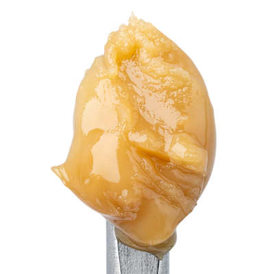 WNC THCA Cold Cure Live Rosin | Banana Cream Pie | Close View