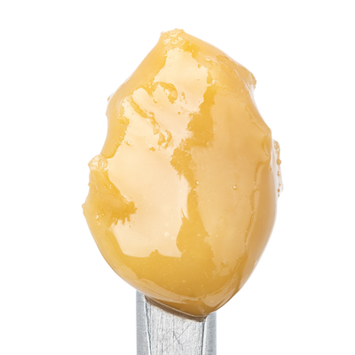 WNC THCA Cold Cure Live Rosin | Blueberry Muffin | Close View