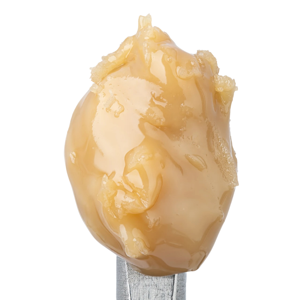 WNC THCA Cold Cure Live Rosin | Gorilla Cookies | Close View