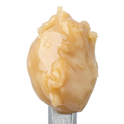 WNC THCA Cold Cure Live Rosin | Gorilla Cookies | Close View