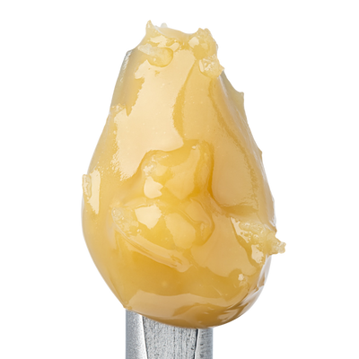 WNC THCA Cold Cure Live Rosin | Granddaddy Purple | Close View