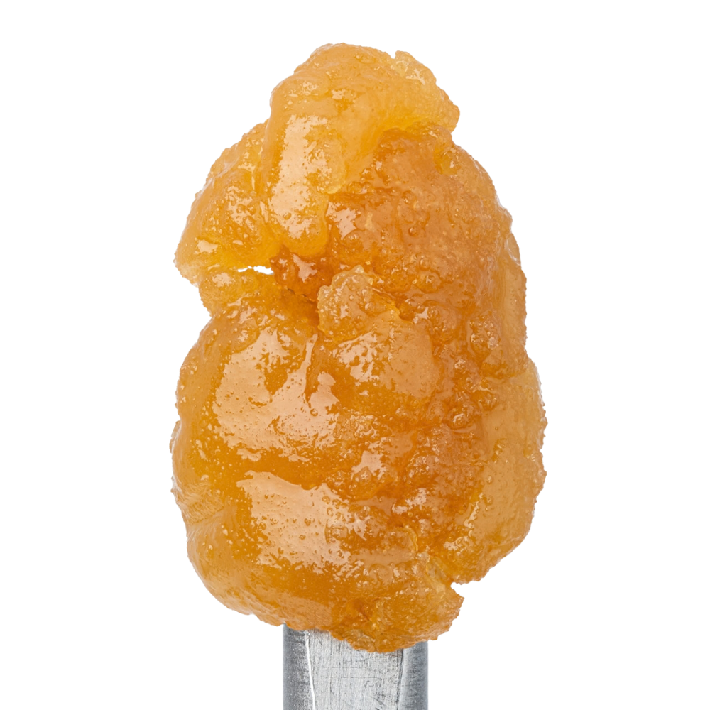 WNC THCA Sugar | Gushers | Close View