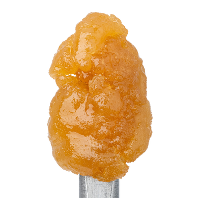 WNC THCA Sugar | Gushers | Close View