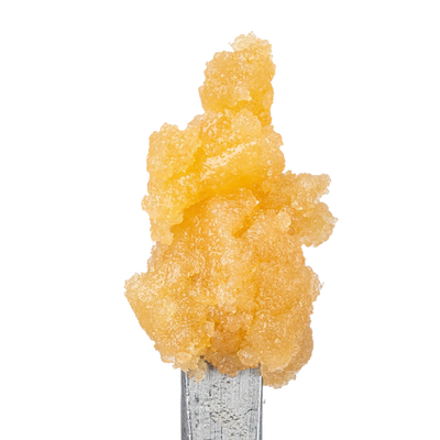 WNC THCA Sugar | Orangutan | Close View