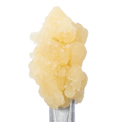 WNC CBD THCA Sugar | Purple Punch | Close Up View