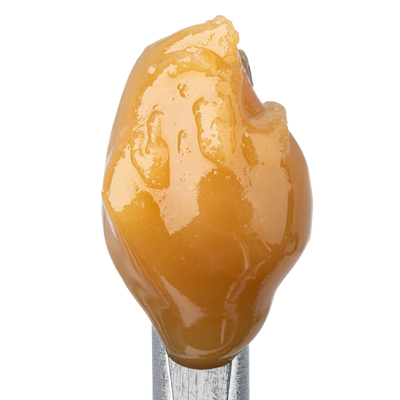 WNC THCA Cold Cure Live Rosin | Bubblegum Gelato | Close Up View