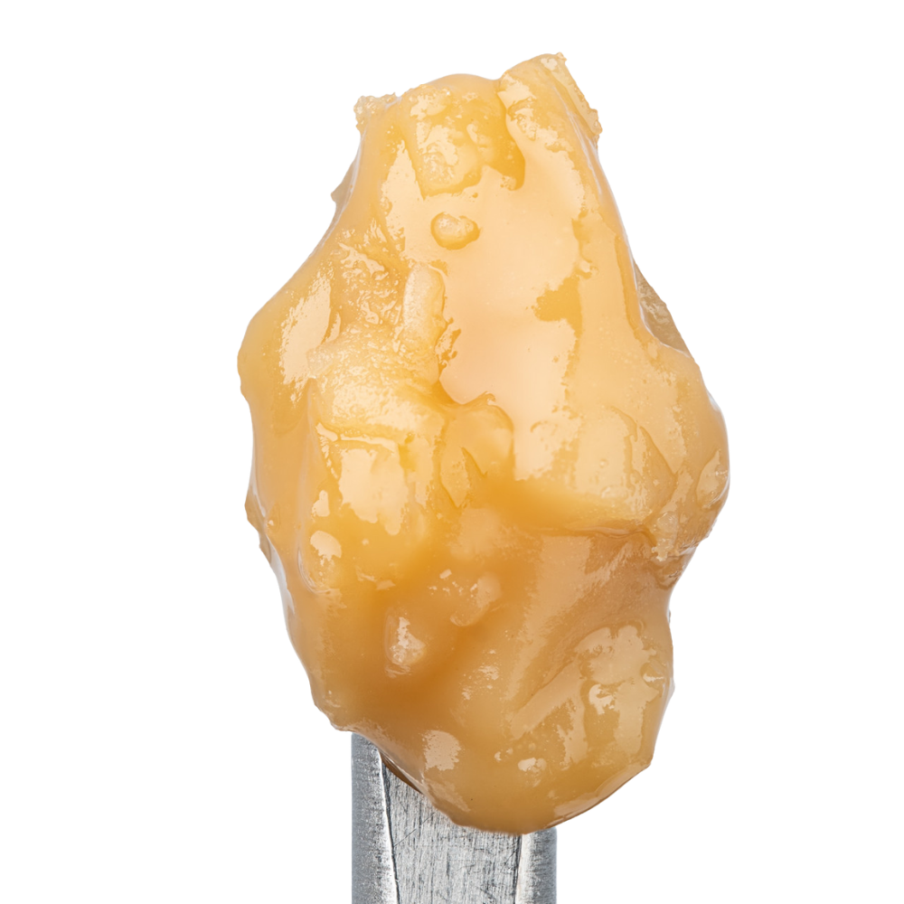 WNC THCA Cold Cure Live Rosin | Gorilla Glue | Close Up View