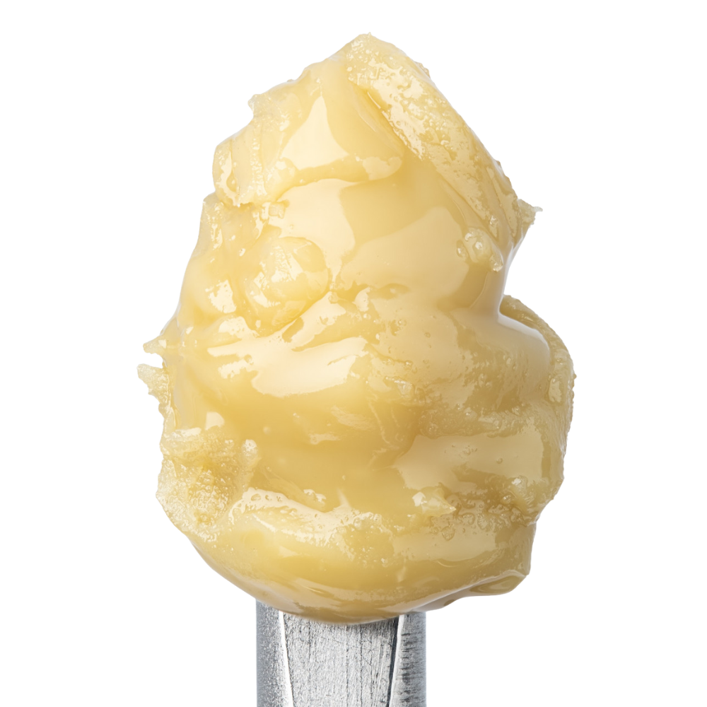 WNC THCA Cold Cure Live Rosin | Governmint Oasis | Close Up View