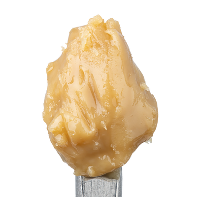 WNC THCA Cold Cure Live Rosin | Grape Cream Cake | Close Up View