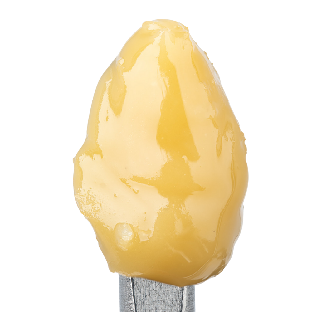 WNC THCA Cold Cure Live Rosin | Jungle Lava | Close Up View