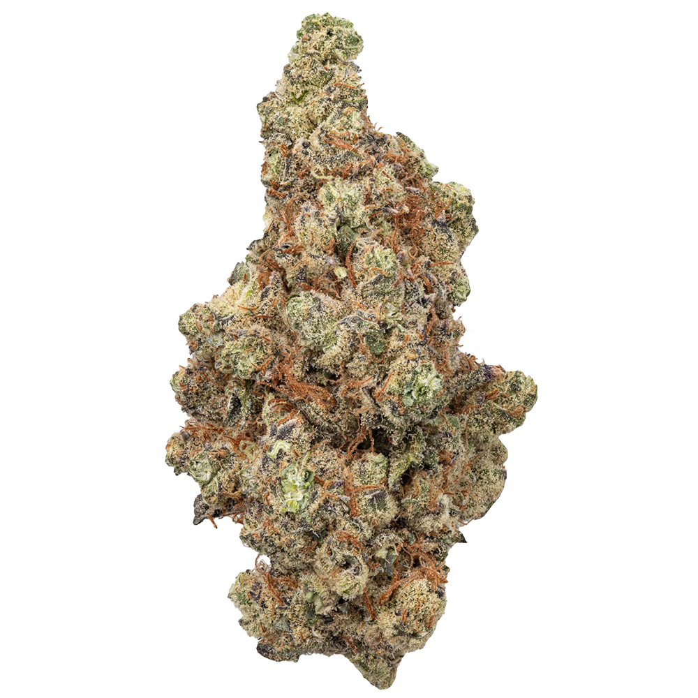 WNC THCA Indoor Hydro Flower | Black Amber | Bud Close View