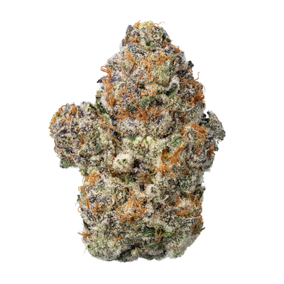 WNC THCA Indoor Hydro Flower | Blue Sunset Sherbet | Bud Close View
