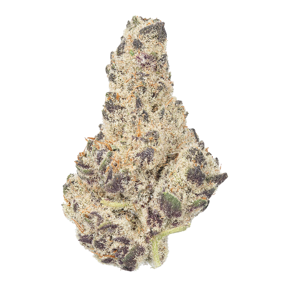 WNC THCA Indoor Hydro Flower | Blue Unicorn | Close View of Bud