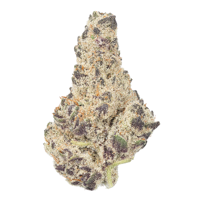 WNC THCA Indoor Hydro Flower | Blue Unicorn | Close View of Bud