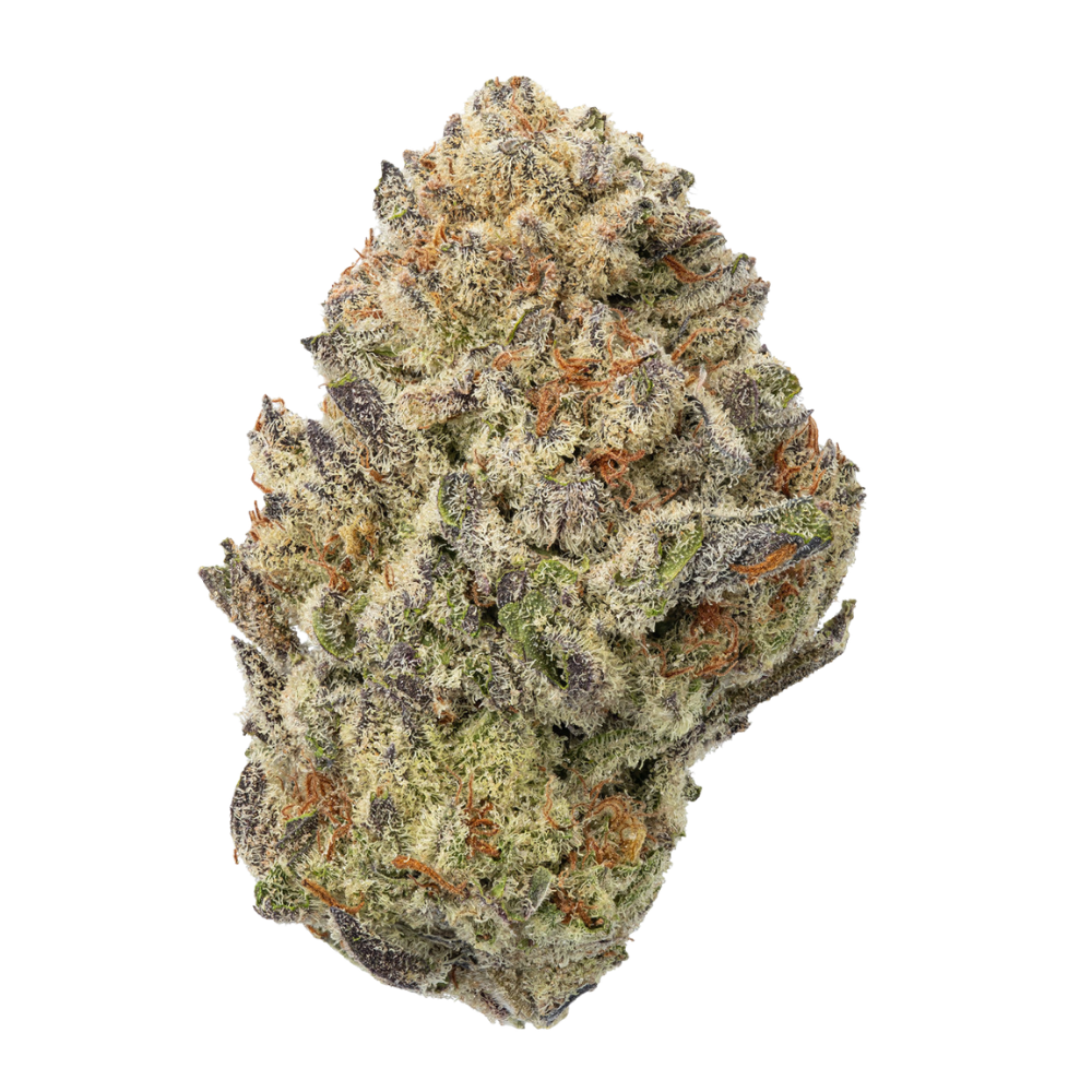 WNC THCA Indoor Hydro Flower | G-13 | Close View of Bud