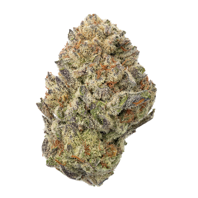 WNC THCA Indoor Hydro Flower | G-13 | Close View of Bud