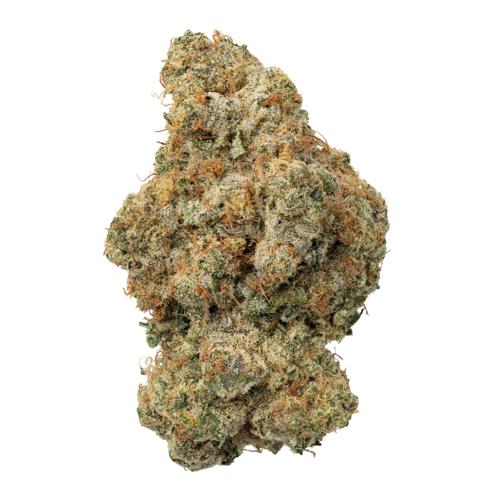 WNC THCA Indoor Hydro Flower | Garlic Cheerios | Close View of Bud