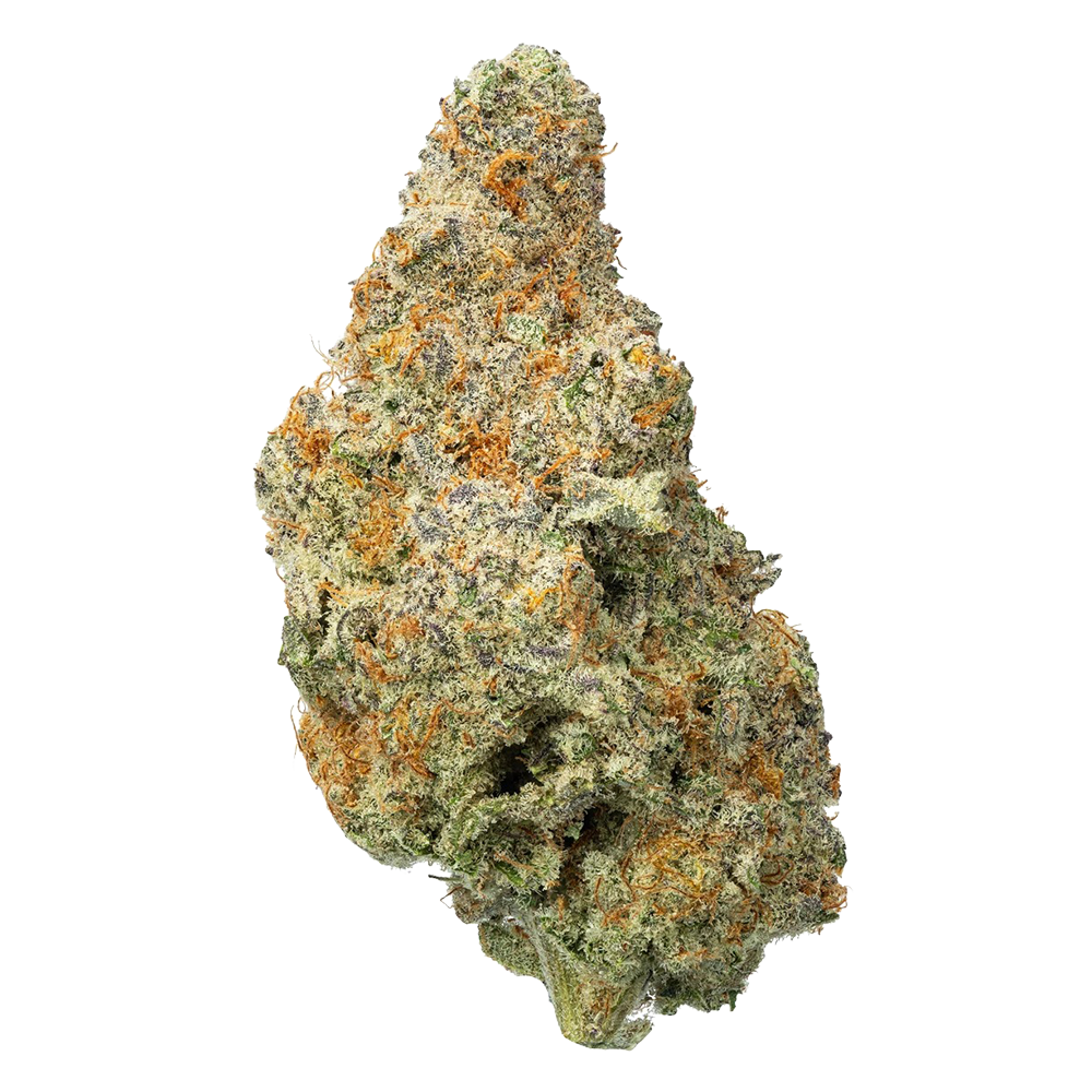 WNC x Karma THCA Indoor Hydro Flower | Mountain Mintz | Close View of Bud