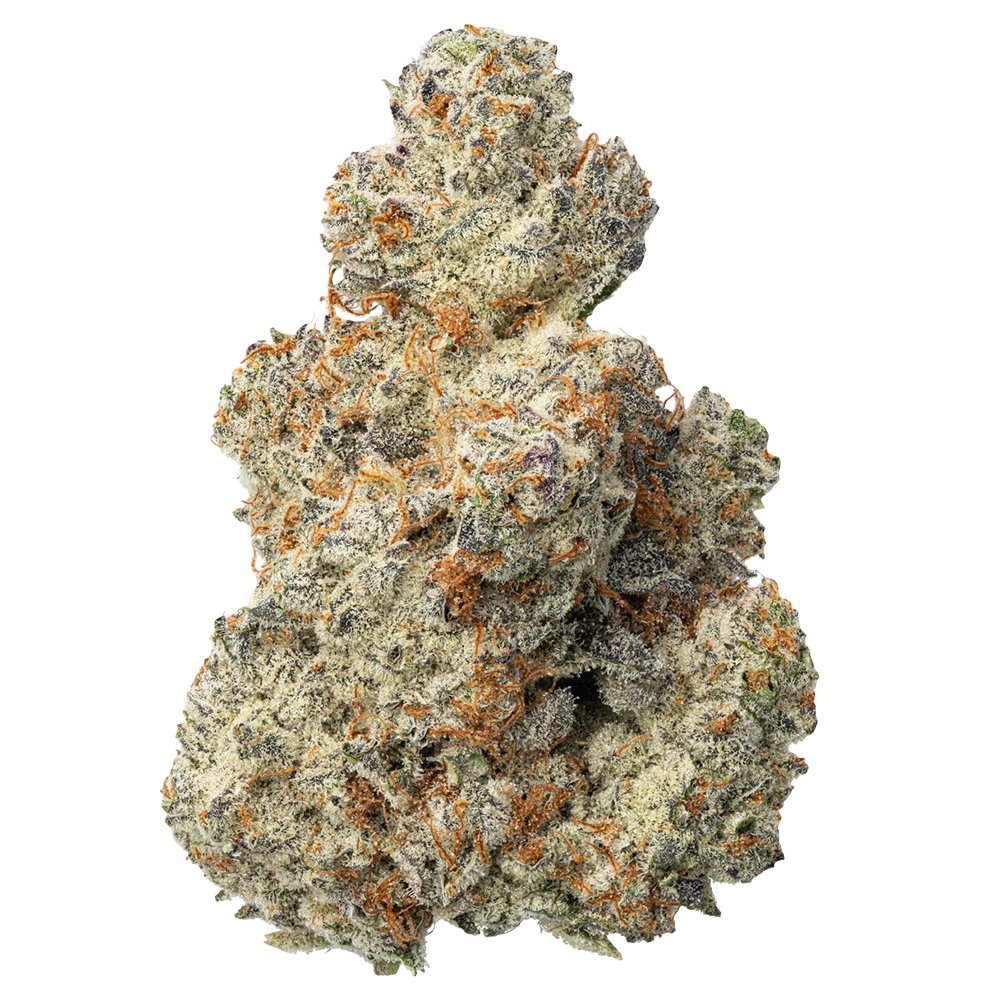 WNC THCA Indoor Hydro Flower | Sundae Driver | Bud Close View