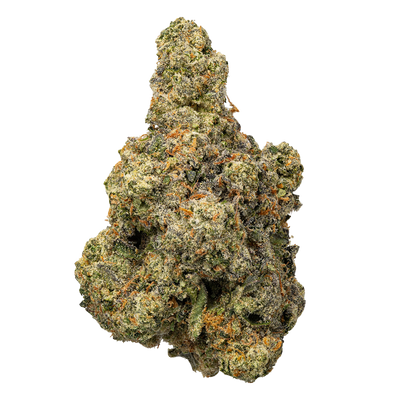 WNC THCA Indoor Living Soil Flower | Biscotti | Bud Close View