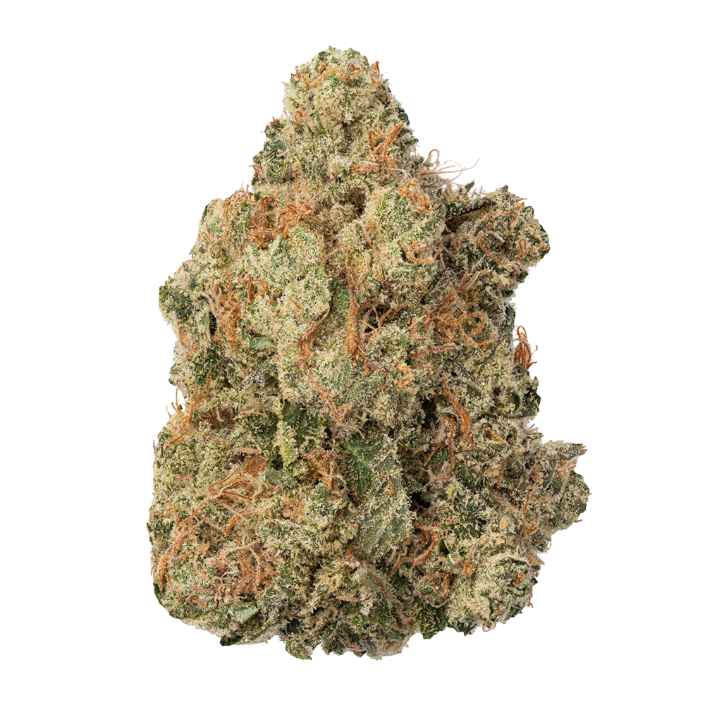 WNC THCA Indoor Living Soil Flower | Bubblegum | Bud Close View