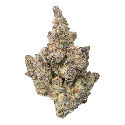 WNC THCA Indoor Living Soil Flower | Cinderella 99 | Close View of Bud