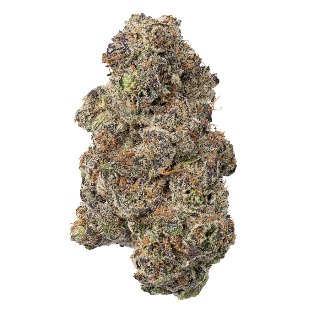 WNC THCA Indoor Living Soil Flower | Daiquiri | Close View of Bud